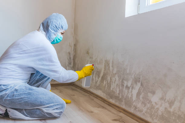 Mold Remediation specialist working in Medford